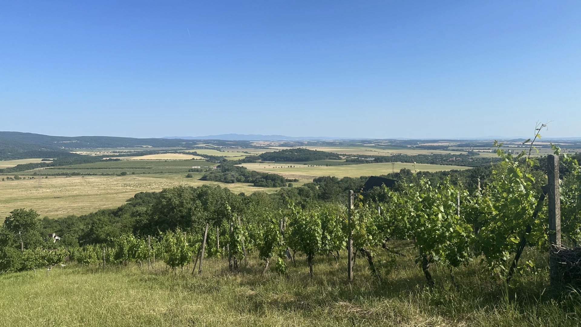 Pukanec - najvyššie položené vinice na Slovensku